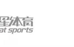 开云官网-从“上”赛道到领奖台：2026年FIA颁奖典礼定了！